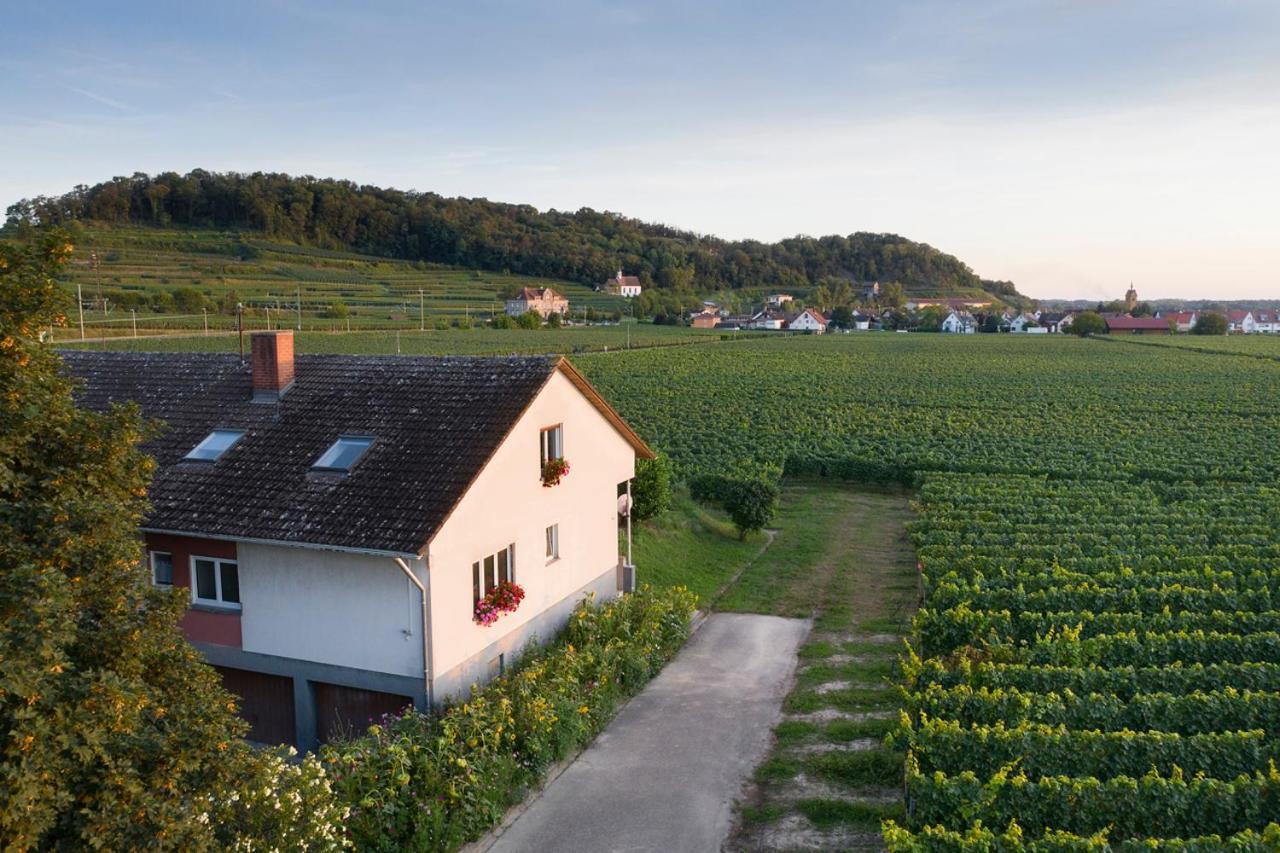 Ferienwohnung Mit 65Qm Niederrotweil Exterior foto